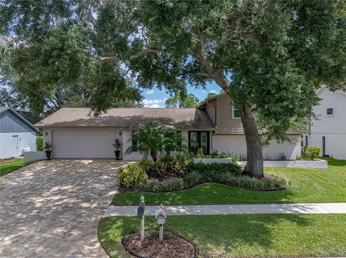 Tampa, FL 33624,4317 HONEY VISTA CIR