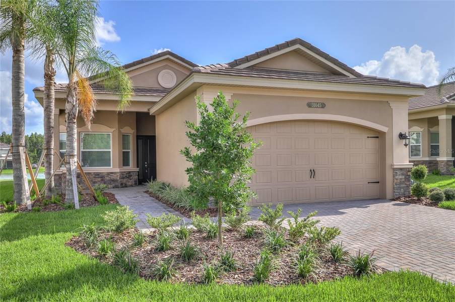 31045 LINDENTREE DR, Wesley Chapel, FL 33543