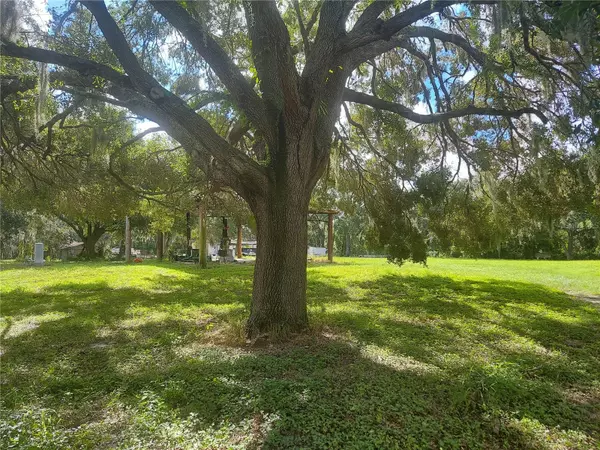 Gibsonton, FL 33534,12016 BULLFROG CREEK RD