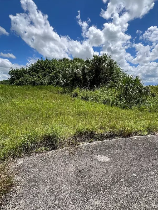 Labelle, FL 33935,405 ASHCROFT CT