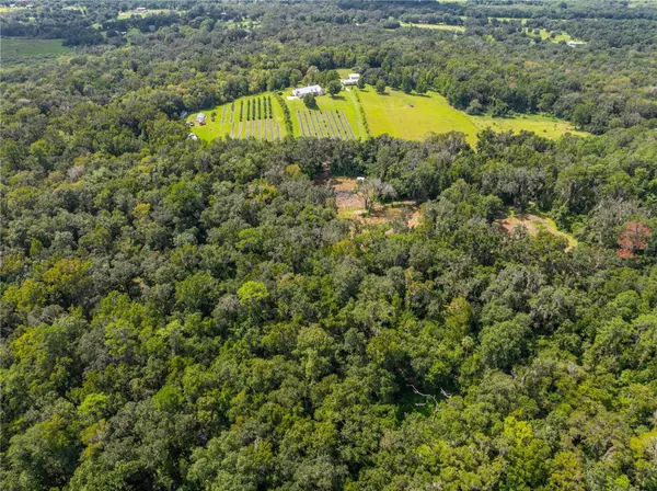 Brooksville, FL 34601,00 WHITMAN RD