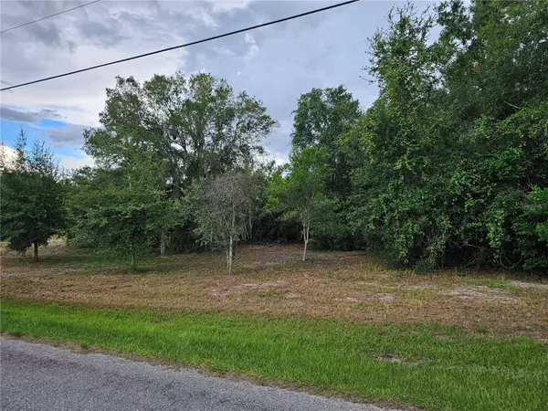 Land O Lakes, FL 34639,00 CARSON DR,