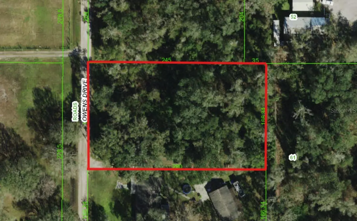 Zephyrhills, FL 33540,OWENS DR