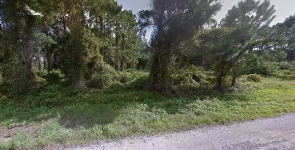 Lehigh Acres, FL 33974,820 TUBA CT