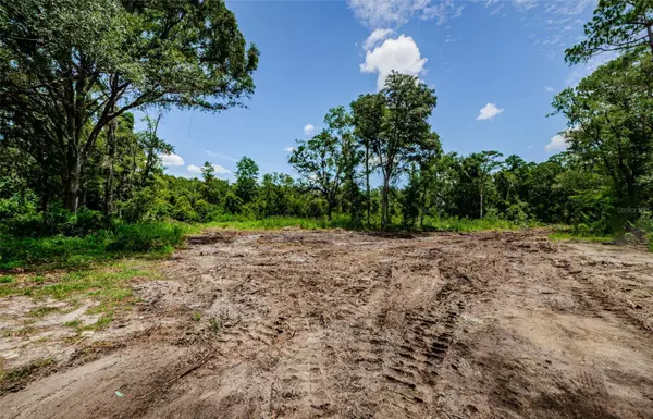 lot 9 AMHERST, Tampa, FL 33625