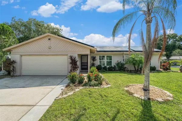 Oldsmar, FL 34677,661 SWEETBRIAR DR