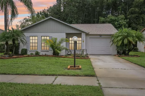 New Port Richey, FL 34654,11540 PAMPAS DR