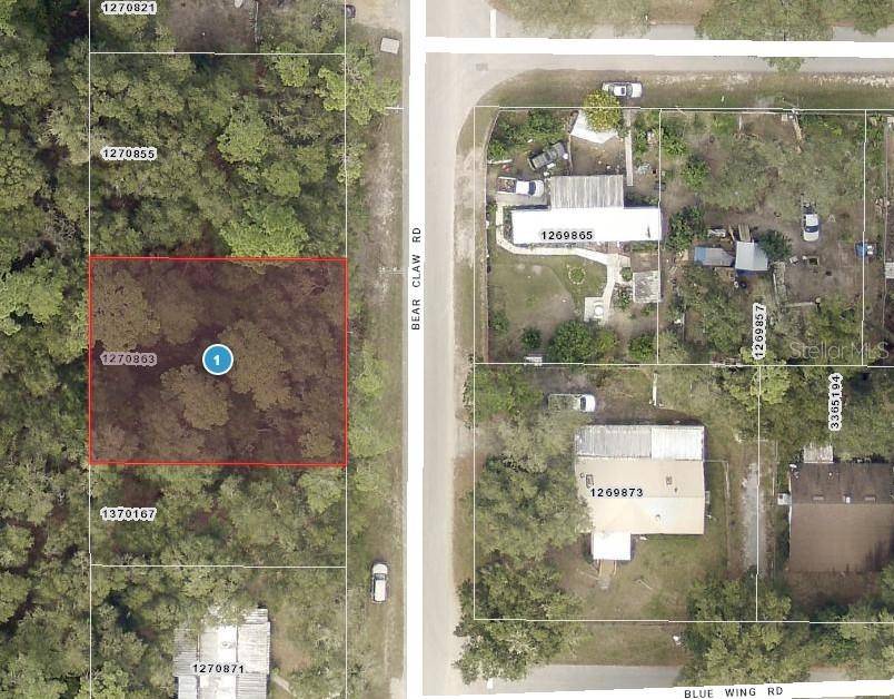 Lots 11 & 12 BEAR CLAW RD, Altoona, FL 32702