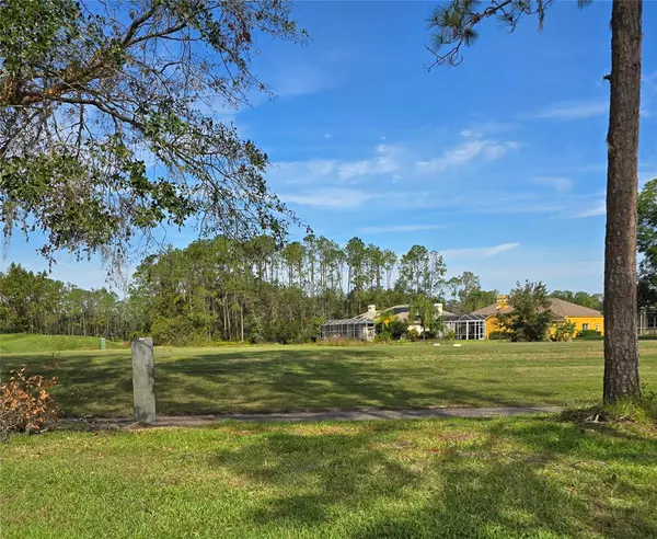 Zephyrhills, FL 33541,34735 DOUBLE EAGLE CT