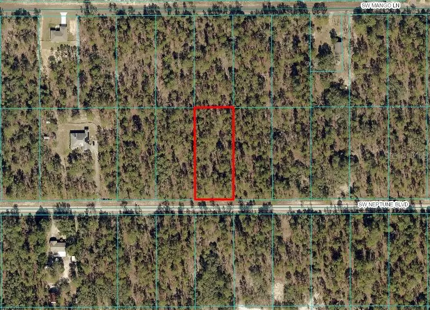 Dunnellon, FL 34431,SW NEPTUNE BLVD