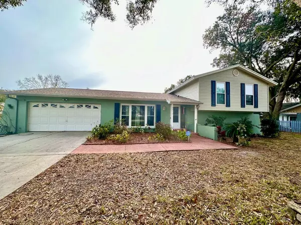 2014 NANCY AVE, Lutz, FL 33548