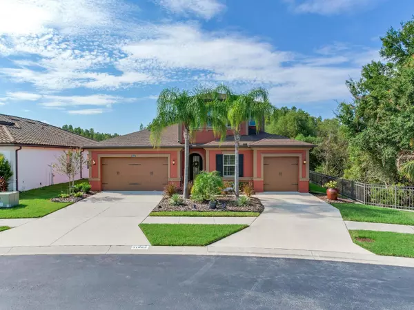 31982 BOURNEVILLE TER, Wesley Chapel, FL 33543