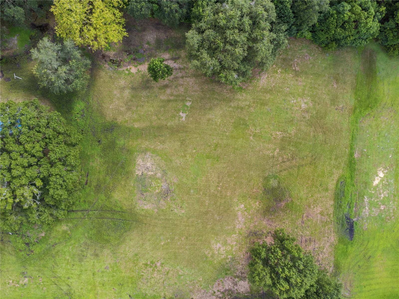 Wesley Chapel, FL 33543,FOX RIDGE BLVD