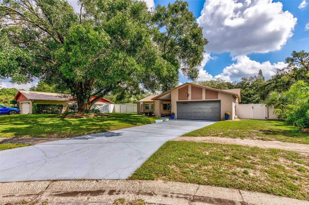 Tampa, FL 33613,13805 CANDIDATE PL