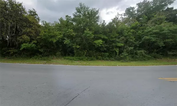 New Port Richey, FL 34654,LAKE DR