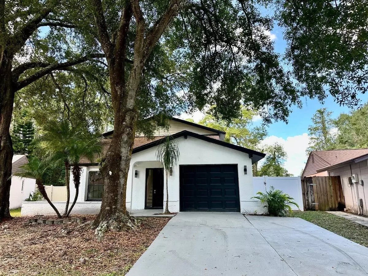 Tampa, FL 33624,16318 CALIENTE PL