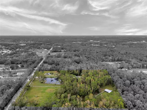 Tarpon Springs, FL 34688,655 APPALOOSA RD