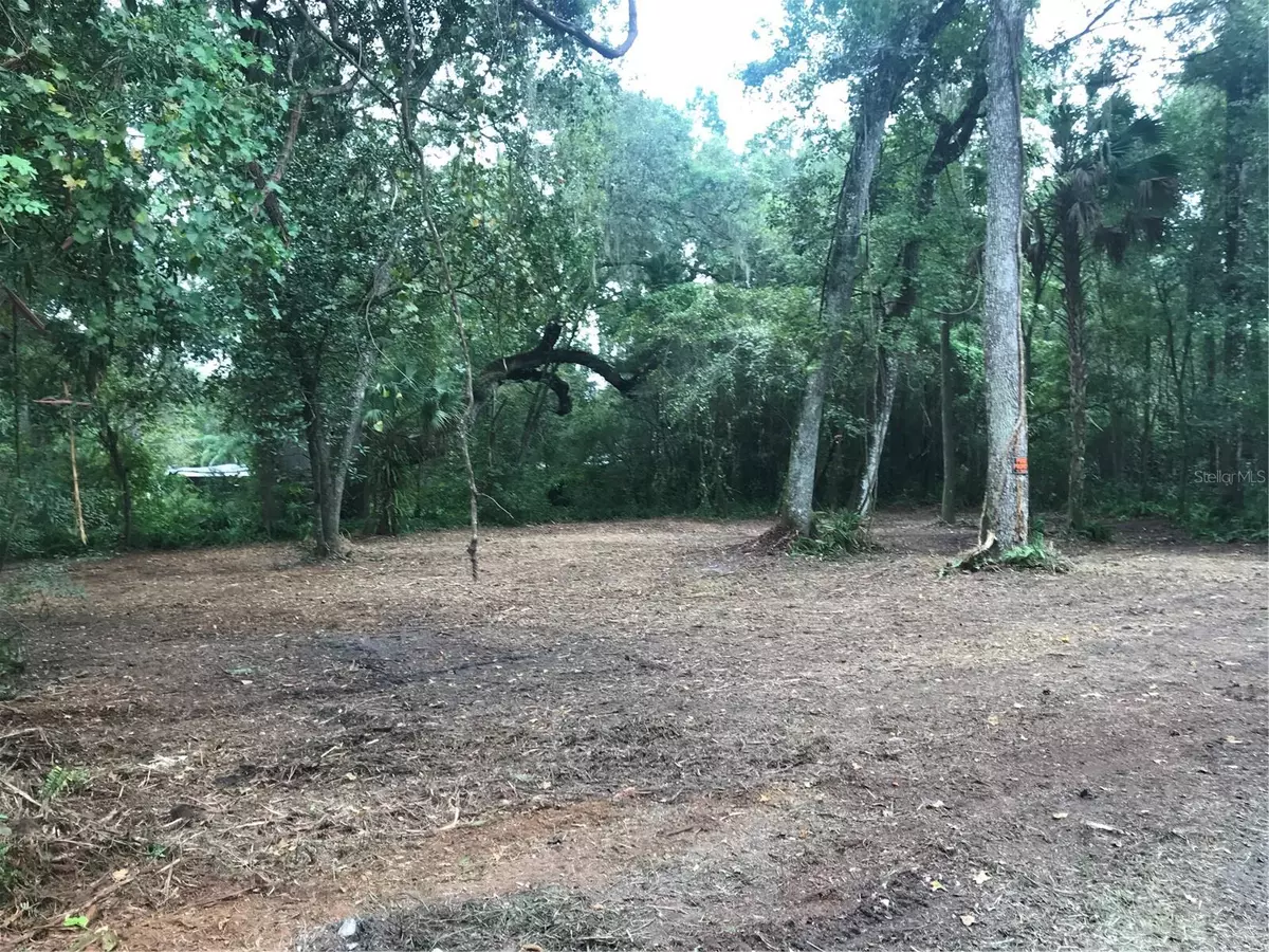 Webster, FL 33597,SW 35TH DR