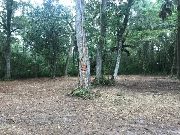 Webster, FL 33597,SW 35TH DR