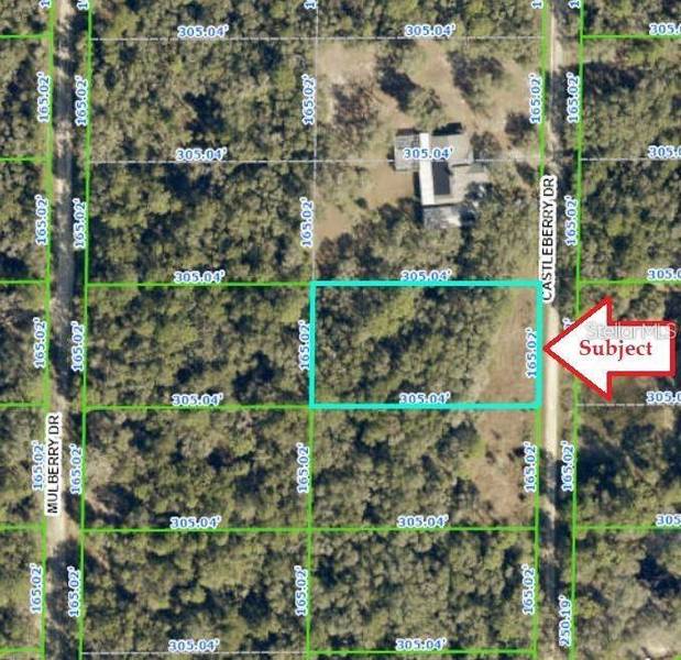 7343 CASTLEBERRY DR, Webster, FL 33597