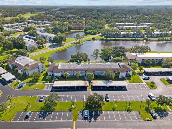 167 LAKEVIEW WAY #167, Oldsmar, FL 34677