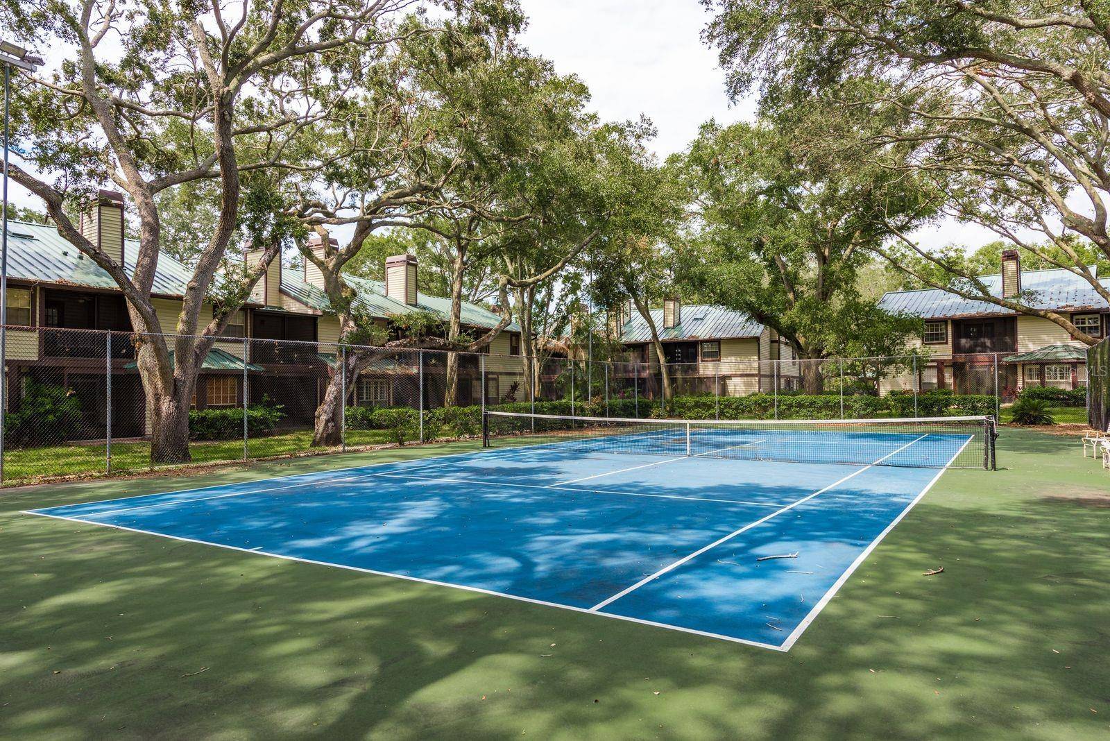 Palm Harbor, FL 34683,1500 MAHOGANY LN #605