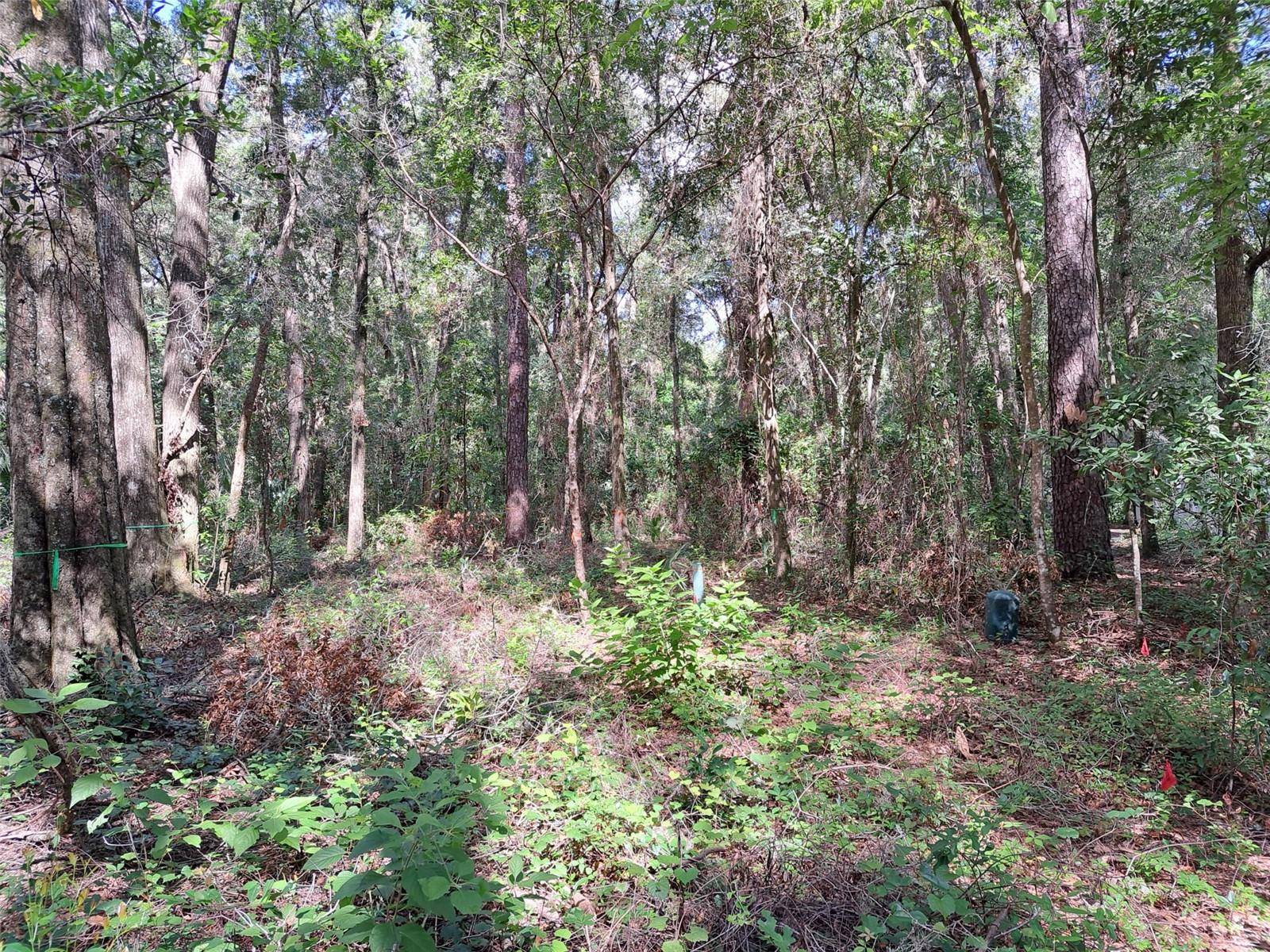 2164 SW 37 CT, Gainesville, FL 32608