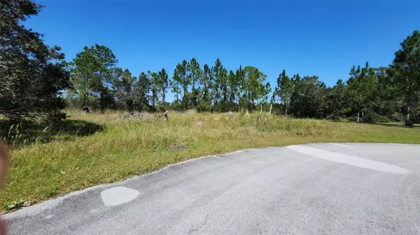 Lake Wales, FL 33898,2483 PHOENIX CIR