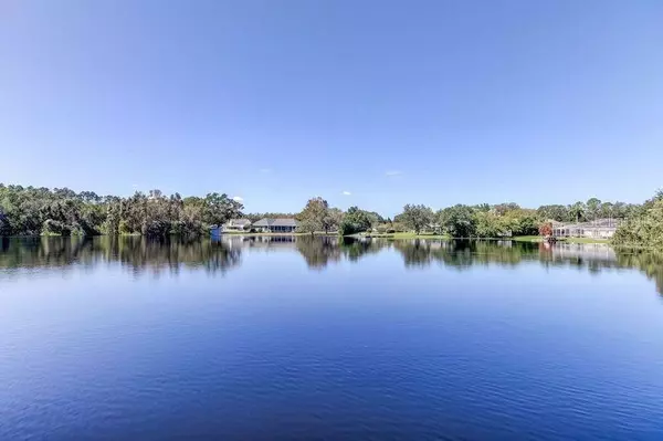 Lutz, FL 33549,921 NEWBERGER RD
