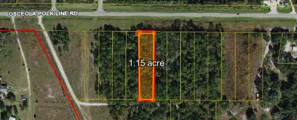 OSCEOLA POLK LINE RD, Davenport, FL 33896