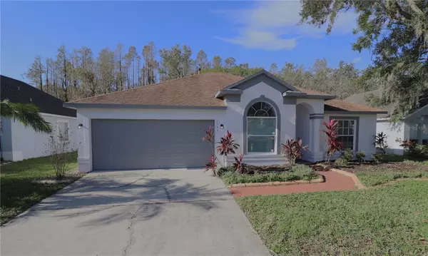 Wesley Chapel, FL 33543,1143 TIMBER TRACE DR