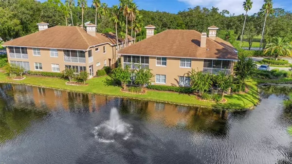 4263 PRESERVE PL,  Palm Harbor,  FL 34685