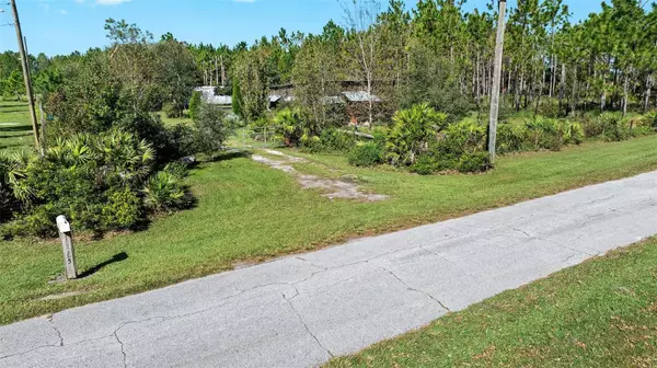 Lithia, FL 33547,18105 BETHLEHEM RD