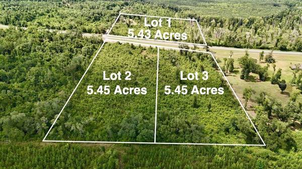 (LOT 3) HIGHWAY 90, Cottondale, FL 32431