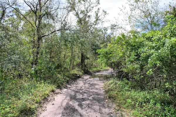 16915 SORONA RD, Wimauma, FL 33598