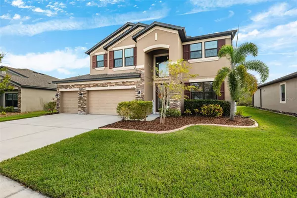 Wesley Chapel, FL 33545,8048 ROMA DUNE DR