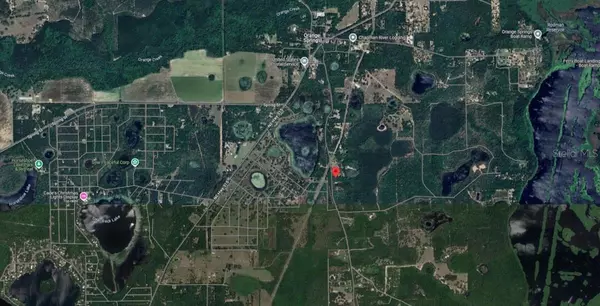 Fort Mc Coy, FL 32134,NORTHEAST 130TH CT