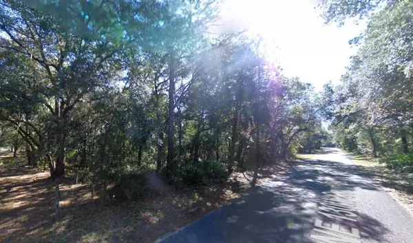 Fort Mc Coy, FL 32134,NORTHEAST 130TH CT