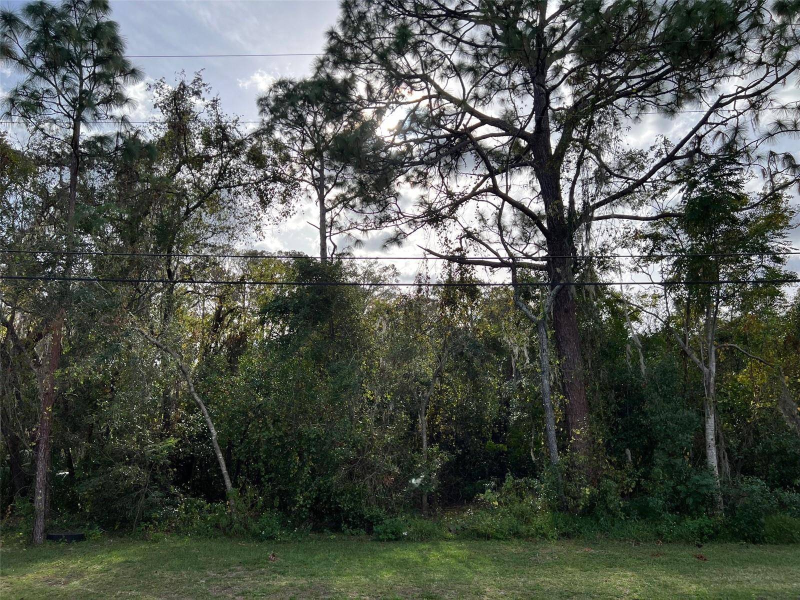 New Port Richey, FL 34654,Address not disclosed