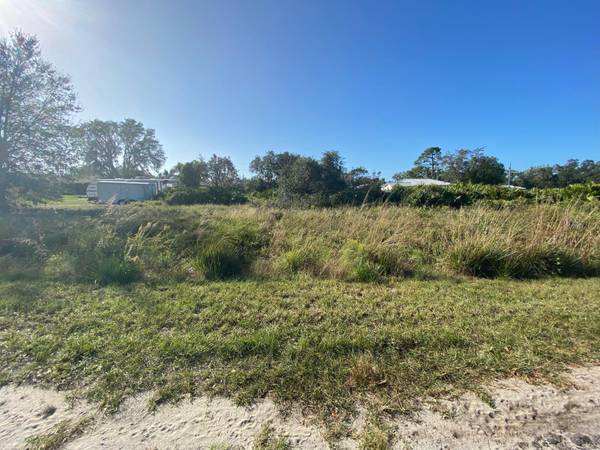 2721 W PETALUMA RD, Avon Park, FL 33825