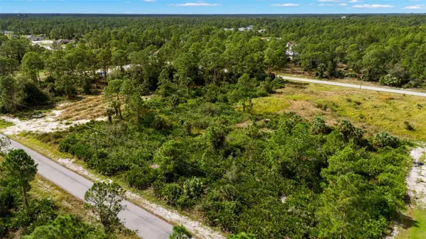 Lehigh Acres, FL 33972,1217 MAGNOLIA AVE