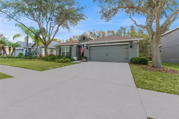 Land O Lakes, FL 34639,5838 SWEET WILLIAM TER