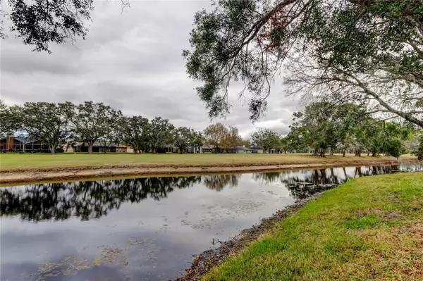 Oldsmar, FL 34677,390 CYPRESS CREEK CIR