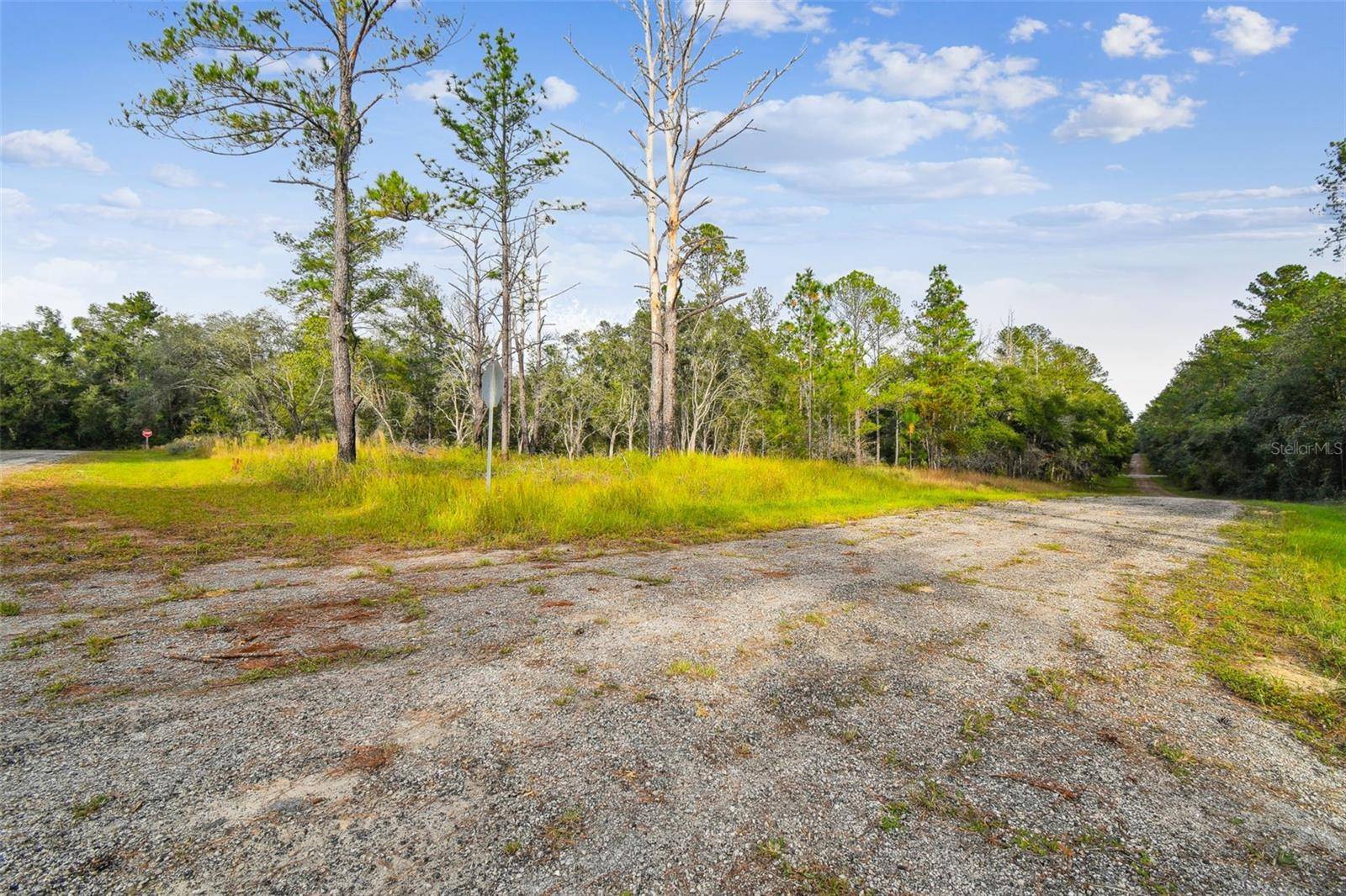 Citrus Springs, FL 34434,825 E TOLEDO DR