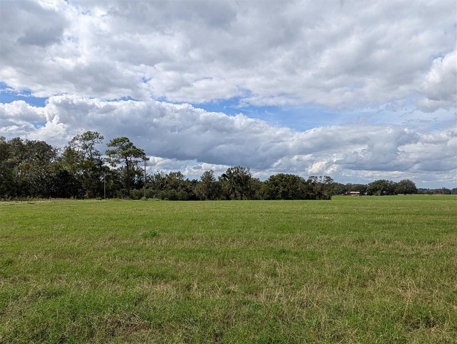 Dade City, FL 33523,0 AMBERLEA
