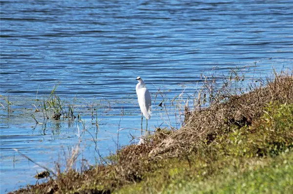 Wesley Chapel, FL 33545,8333 HARDY BAY LOOP