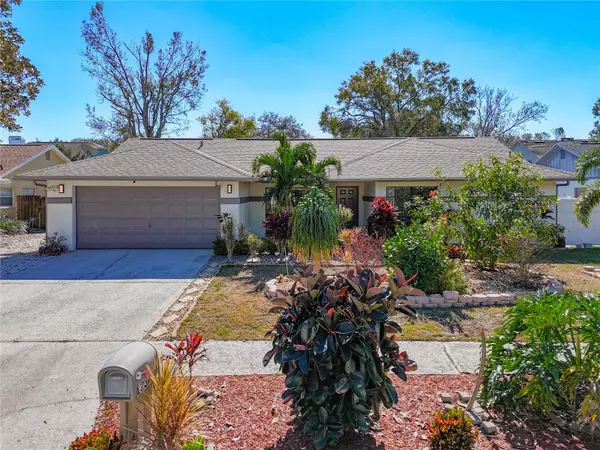 12345 YELLOW ROSE CIR, Riverview, FL 33569