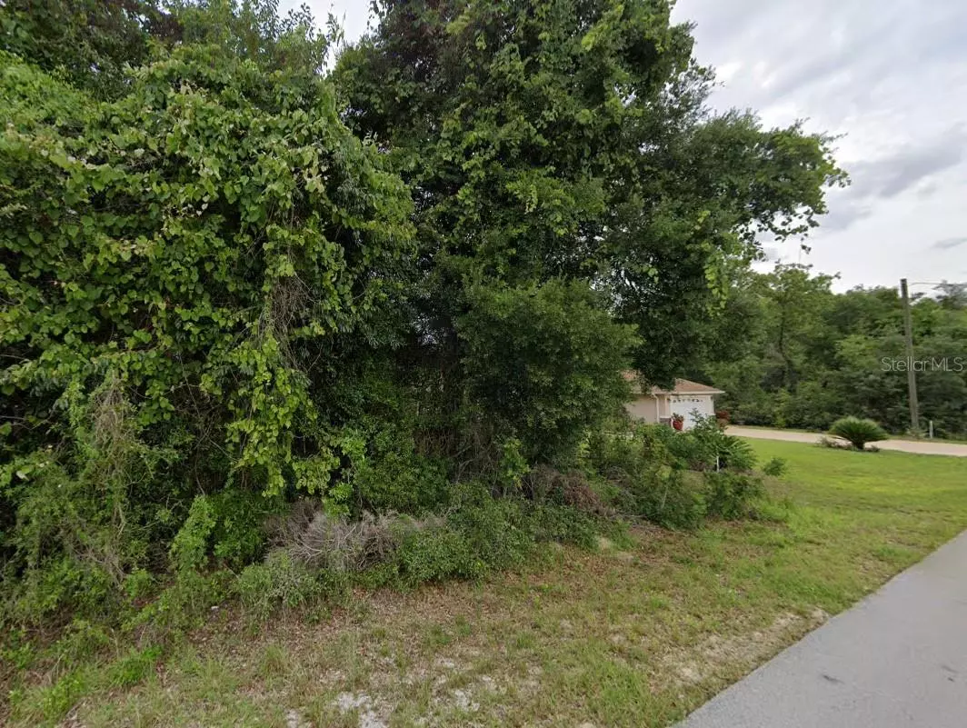 Summerfield, FL 34491,0 SE 88TH CT