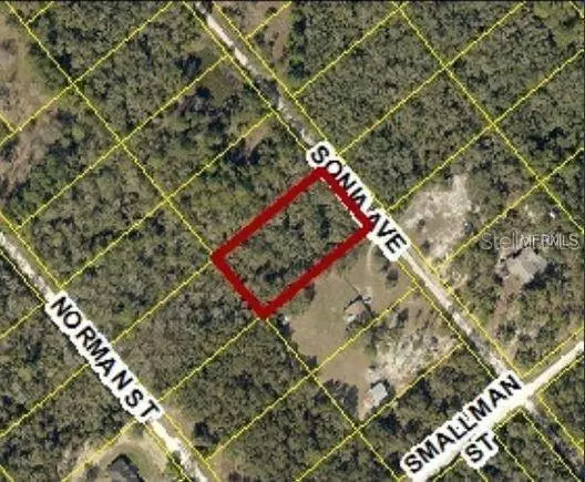 7241 SONIA AVE, Webster, FL 33597
