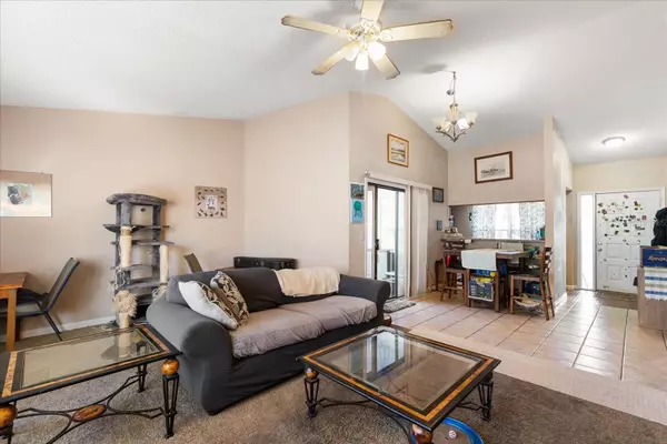 Oldsmar, FL 34677,2044 SHEFFIELD CT